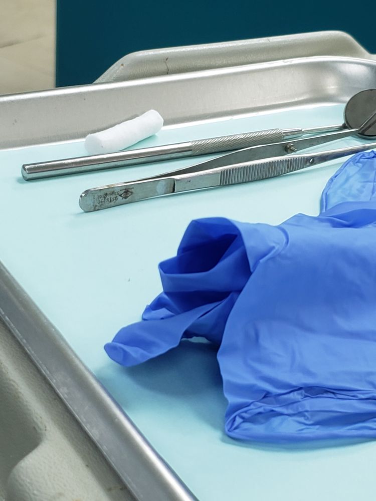 PROFESSIONAL DENTAL SOLUTIONS Updated August 2024 7900 NW 27th Ave