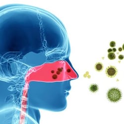 Joshua P. Light, MD - Sinus Specialist Boynton Beach Florida