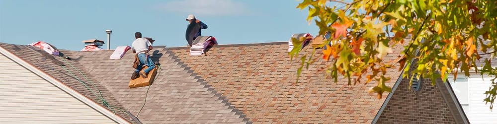 Slide of Trinity Tree Service Of Florida