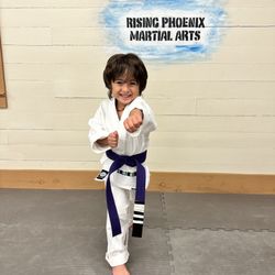 Rising Phoenix Martial Arts