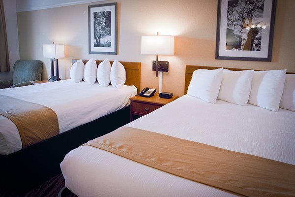 Pines Inn & Suites by null