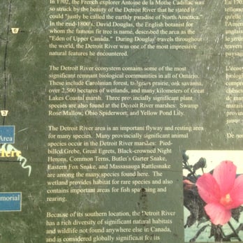 Petite Côte Conservation Area - Landmarks & Historical Buildings Near Me - LaSalle, Ontario
