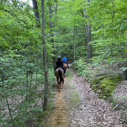 Blue Moon Acres - Horseback riding through Hocking Hills with Blue Moon Acres!!  Sooooo fun!!