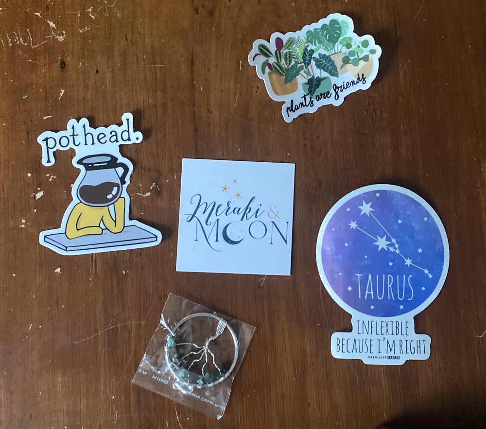 Social spots from Meraki and Moon