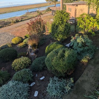 HB Landscaping Services - Landscaping Near Me - Novato, California