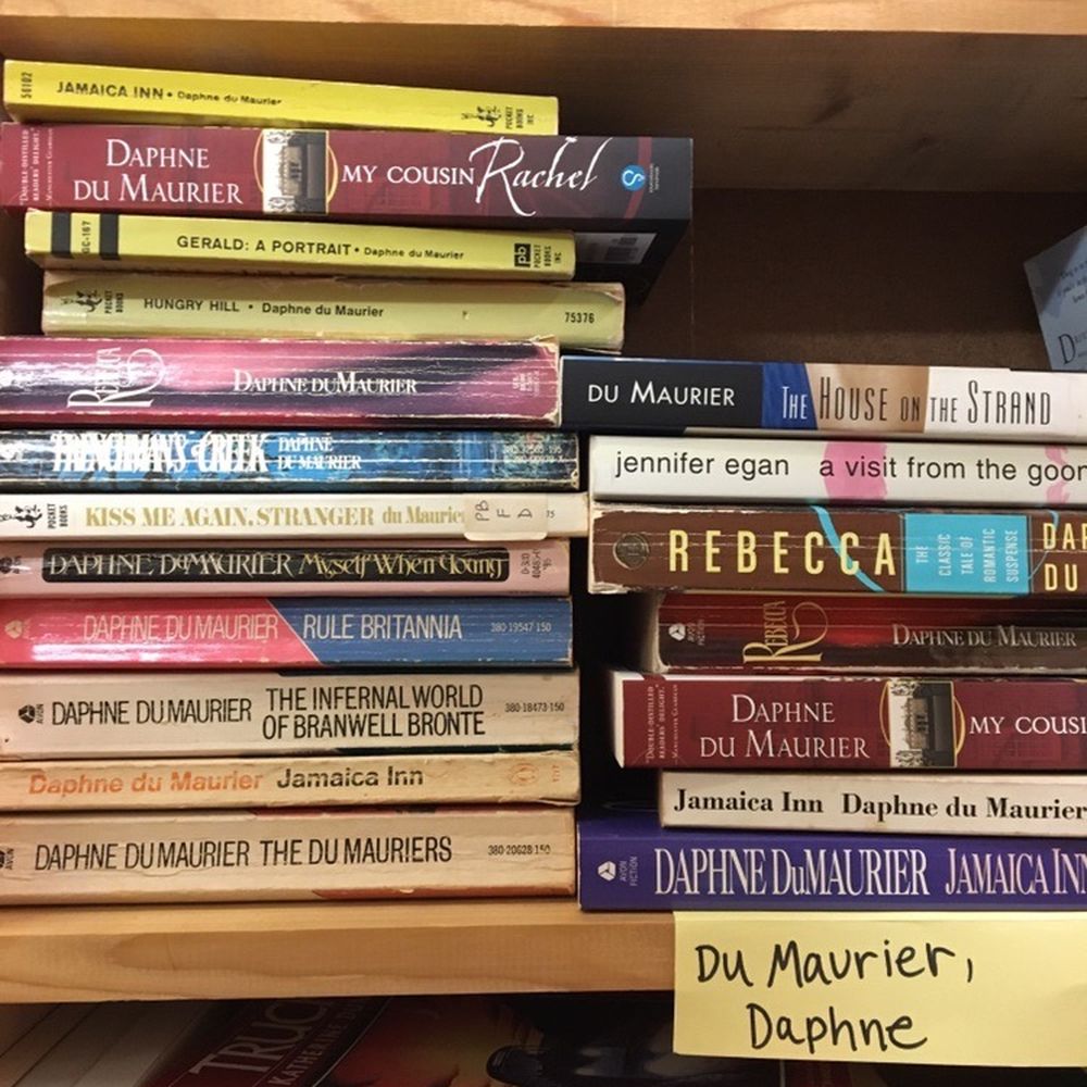 Chamblin Bookmine - Bookstores Near Me - Jacksonville, Florida Chamblin Bookmine - Bookstores Near Me - Jacksonville, Florida