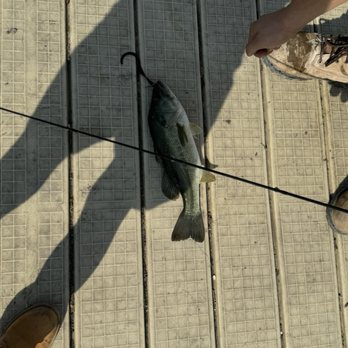 Fishing Dock Town Lake Park - Nice place to go fishing, just wish people would take their trash with them - Fishing Near Me - Prosper, Texas Fishing Dock Town Lake Park - Nice place to go fishing, just wish people would take their trash with them - Fishing Near Me - Prosper, Texas