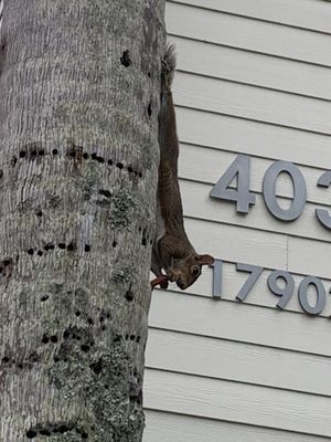 Summer Bay Orlando By Exploria Resorts by null