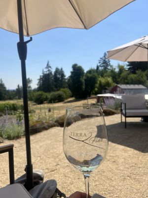 Terra Vina Wines Vineyard by null