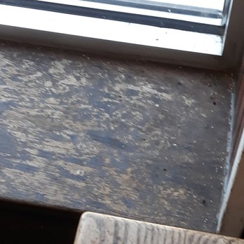 Potbelly - Dirty dusty windowsill where we sat. - Sandwiches Near Me - Ann Arbor, Michigan