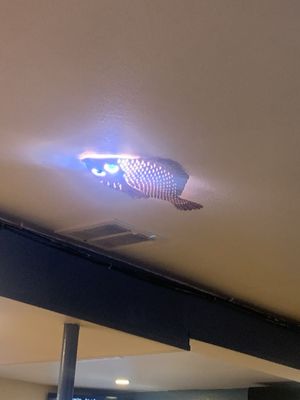 Shucker's Oyster Bar by null