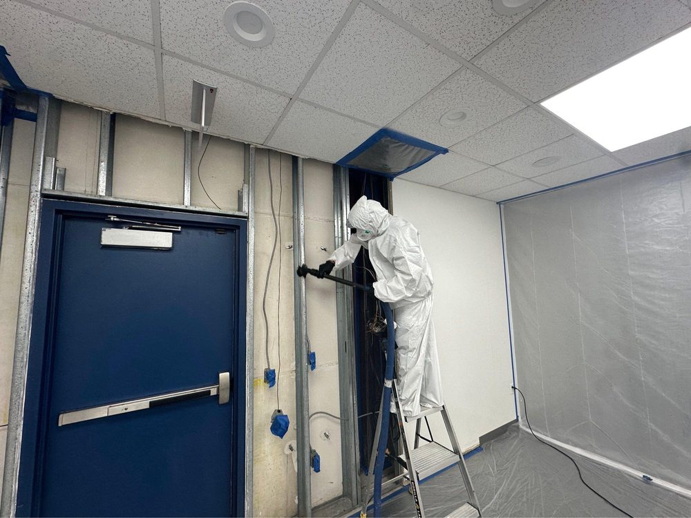 Mundae Cleaning & Restoration Services - mold inspector in Houston, TX