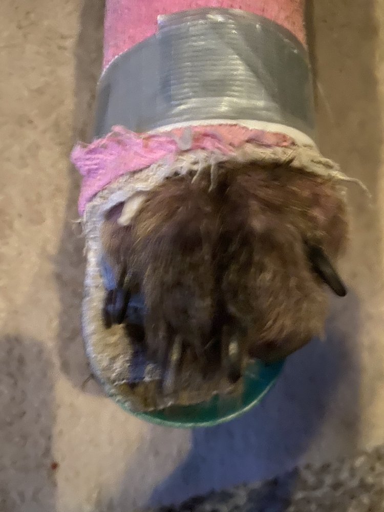 MARENGO ANIMAL HOSPITAL OFC Updated September 2024 12 Reviews 223