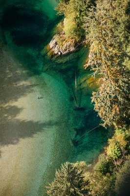 Tofino Resort + Marina by null