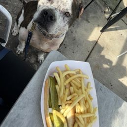 Hot Dog