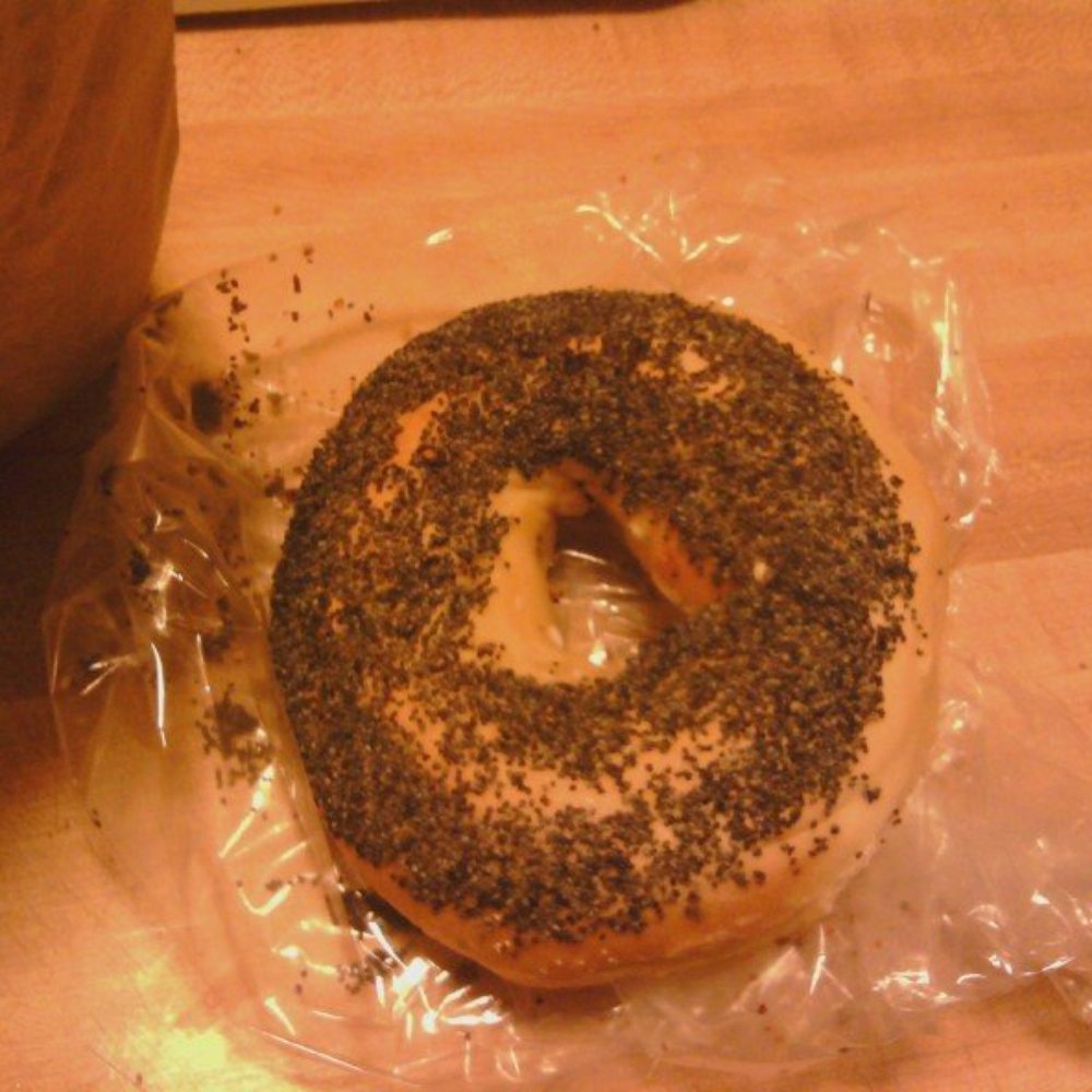 Sonoma Valley Bagel - this bagel just looks bad , don't worry I won't eat it! - Bagels Near Me - Santa Rosa, California Sonoma Valley Bagel - this bagel just looks bad , don't worry I won't eat it! - Bagels Near Me - Santa Rosa, California