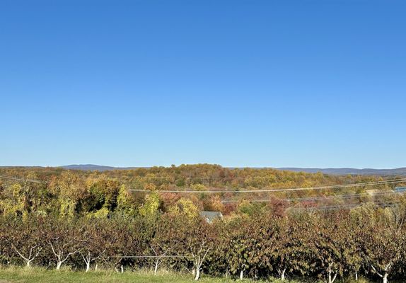 Fishkill Farms by null