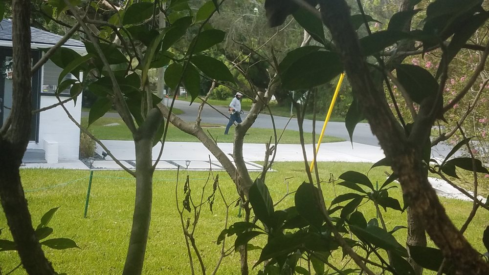 Bel Air X Lawn & Landscapes - tree service in Orlando, FL