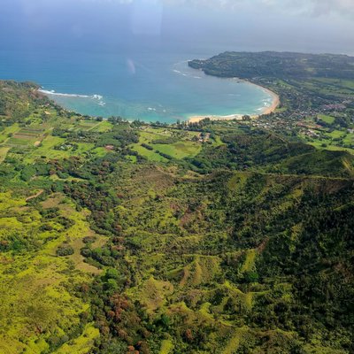 Blue Hawaiian Helicopters by null