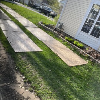 Busy Beaver Tree Care - Protection for your grass - Tree Services Near Me - Roscoe, Illinois