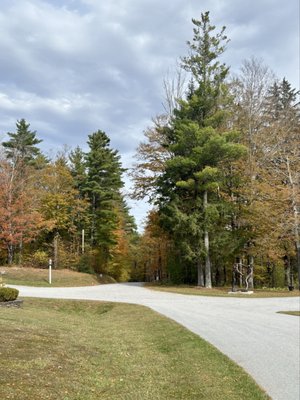 Southern Vermont Arts Center by null