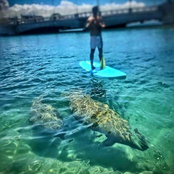 SUP Action - Paddleboarding Near Me - San Juan, Puerto Rico SUP Action - Paddleboarding Near Me - San Juan, Puerto Rico