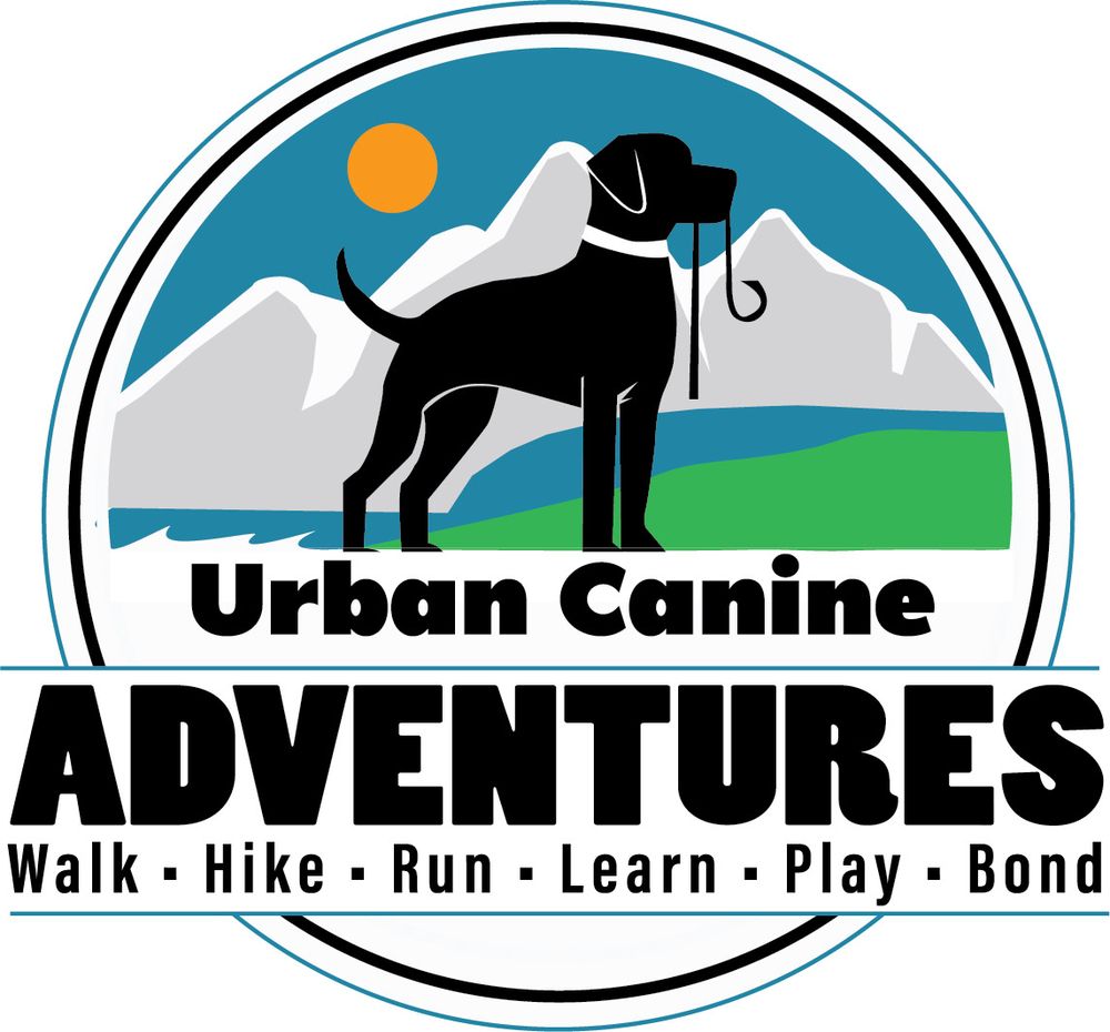 URBAN CANINE ADVENTURES Updated September 2024 5 4320 29 Street, Vernon, British Columbia
