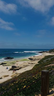 Windansea Beach by null