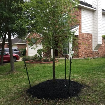 Verdant Tree Farm - Nurseries & Gardening Near Me - Houston, Texas