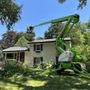 Select Timber Tree Service