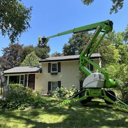 Select Timber Tree Service - Wonderful service provided by Select Timber Tree Service of Eagan,MN