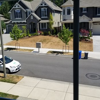 Powerful Sponge - Luxury home cleaning. - Home Cleaning Near Me - Kirkland, Washington Powerful Sponge - Luxury home cleaning. - Home Cleaning Near Me - Kirkland, Washington