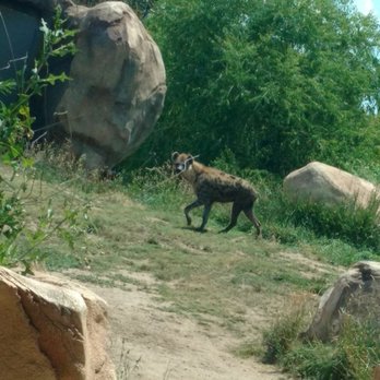 Denver Zoo - Zoos Near Me - Denver, Colorado Denver Zoo - Zoos Near Me - Denver, Colorado