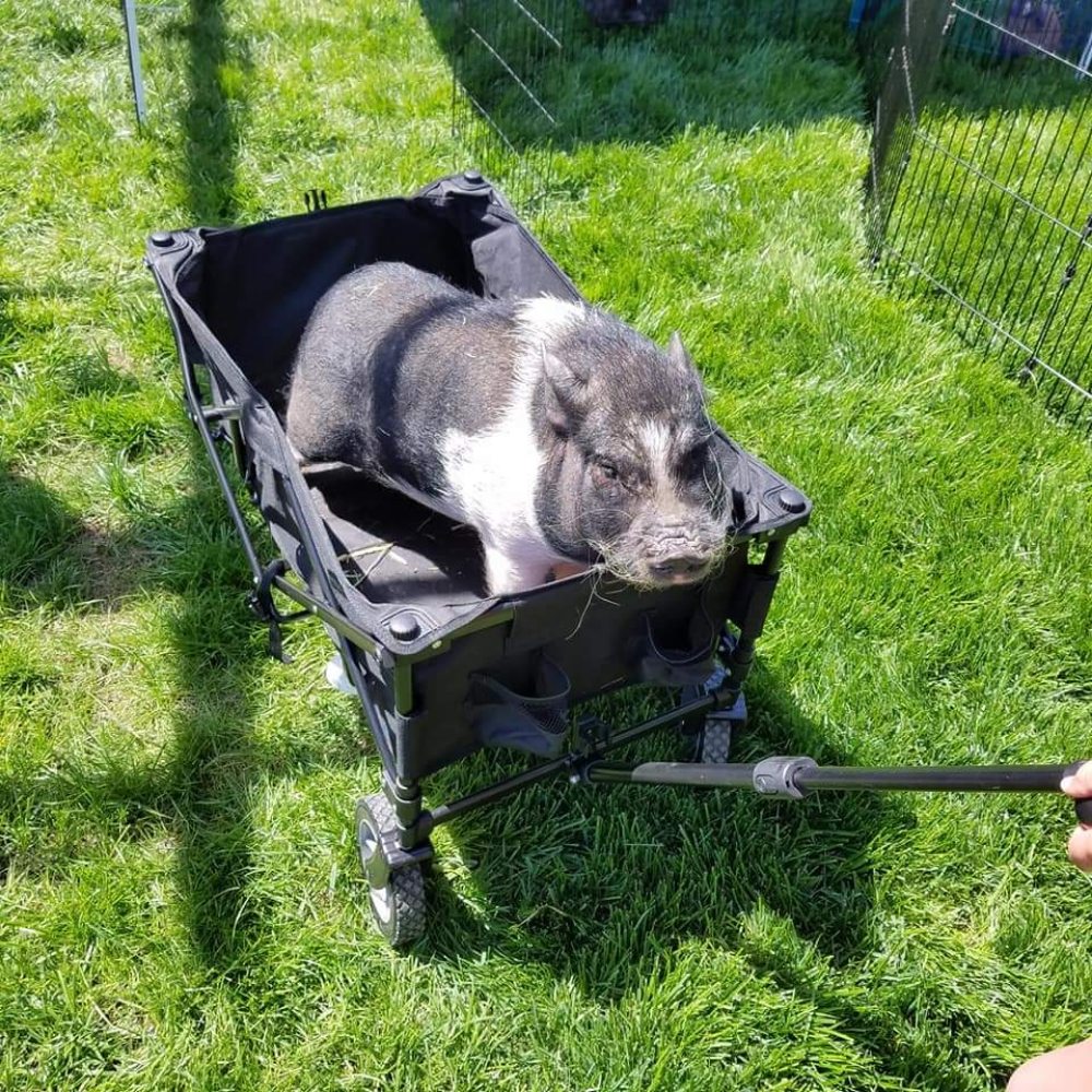 MY ZOO TO YOU Updated June 2024 49 Photos Flagstaff, Arizona