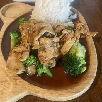 Green Mango - Kid's Chicken Broccoli Teriyaki great size ! - Thai Near Me - Austin, Texas Green Mango - Kid's Chicken Broccoli Teriyaki great size ! - Thai Near Me - Austin, Texas