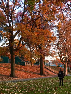 Leonard Gordon Park by null
