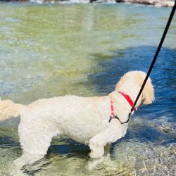 Cle Elum Riverfront Park - Baci x the crazy river