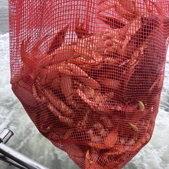 Fish Emeryville - Crab catch - Fishing Near Me - Emeryville, California
