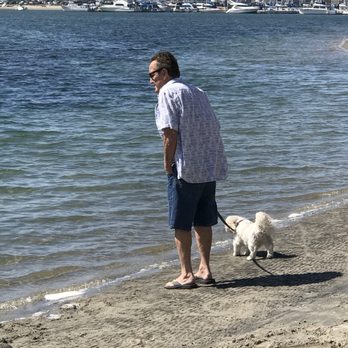 Bahia Resort Hotel - Dog friendly - San Diego, CA
