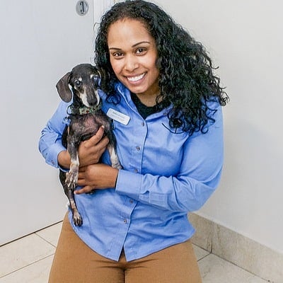 Biscuits & Bath - Tribeca