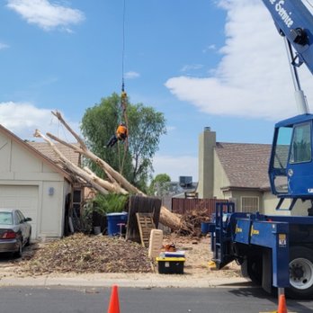 Serious Landscaping & Grounds Care - Storm damage crane work - Landscaping Near Me Serious Landscaping & Grounds Care - Storm damage crane work - Landscaping Near Me