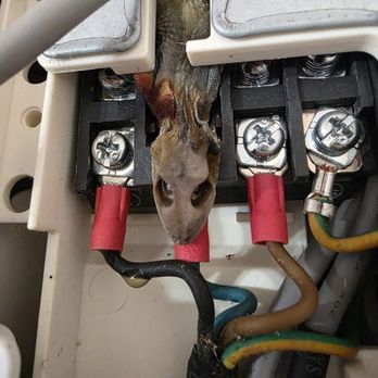 Canes Services - Appliances & Repair Near Me Canes Services - Appliances & Repair Near Me