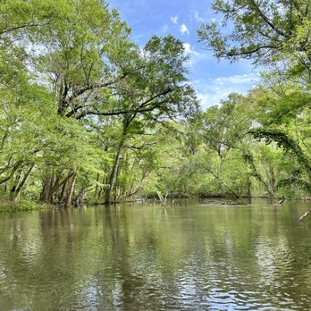 Holmes Creek - RV Camp Sites: Aviary onsite, kayaking, paddleboarding, fishing., RV camping. Natural Springs - Campgrounds Near Me - Vernon, Florida Holmes Creek - RV Camp Sites: Aviary onsite, kayaking, paddleboarding, fishing., RV camping. Natural Springs - Campgrounds Near Me - Vernon, Florida