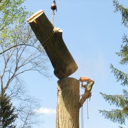John Dossey Tree Service