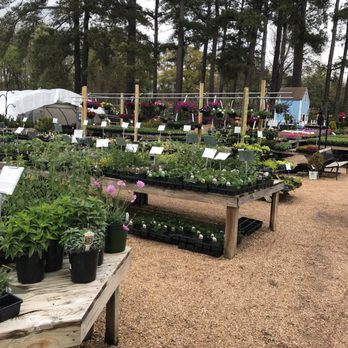 Martin Garden Center - Nurseries & Gardening Near Me - Greenville, South Carolina Martin Garden Center - Nurseries & Gardening Near Me - Greenville, South Carolina