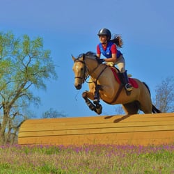 Bright Star Equine