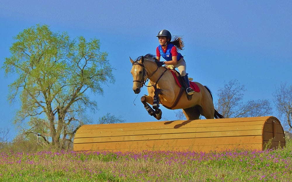 Bright Star Equine Image