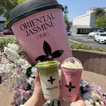 Molly Tea - Premium Jasmine Matcha & Snowy Jasmine - Bubble Tea Near Me - San Gabriel, California Molly Tea - Premium Jasmine Matcha & Snowy Jasmine - Bubble Tea Near Me - San Gabriel, California