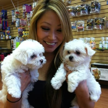 Puppy Land - Pet Stores Near Me - Los Angeles, California
