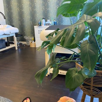 Alchemy Lash and Brow - Eyelash Service Near Me - Dallas, Texas